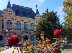 В Камышине розы побили рекорды прошлых лет по продолжительности цветения