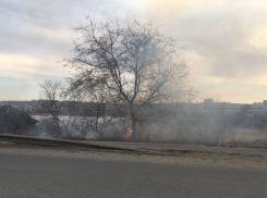 В Камышине огонь добрался от элеватора до дороги на Рязано-Уральской, пока не удается потушить полыхающую траву