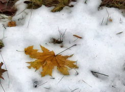 Мокрый снег и дождь накроют Камышин на весь день 13 января