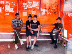 В Камышине на каждой остановке сидит по собаке - когда их будут отлавливать? - камышанка