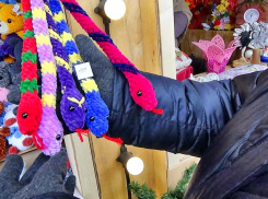 В Камышине на ярмарке народных мастеров продают дешевых симпатичных змей ручной работы