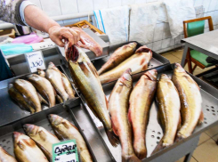 Россияне экономят на еде как никогда: овощи дорожают, рыба — роскошь