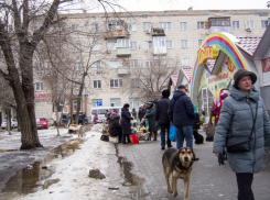 Женщина истошно закричала: камышане показывают в соцсетях, как на прохожих нападают бродячие псы (ВИДЕО)