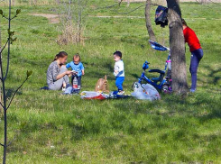 Камышане дождались теплого дня и расположились в парке на траве