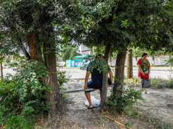 Разве самодельные доски для ожидания не показатель бескультурья и неблагоустроенности города? - камышанка