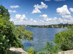 В Камышине зелень на реке обогнала купальный сезон
