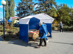 В Камышине пенсионерка лишилась более 2,5 миллиона рублей, заказав «ключи от домофона»