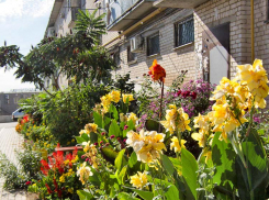 В каких домах в Камышине отключают свет сегодня, 9 октября