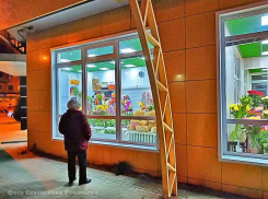 Рекордное количество суточных осенних заражений зарегистрировано среди камышан, смерти от ковида тоже не отпускают Камышин