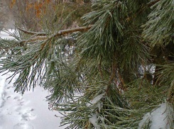 Еще одна смерть от ковида подтверждена в Камышине - скончалась пенсионерка 58 лет