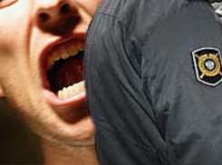 В Камышине «удалец» покусал полицейского и ударился в бега