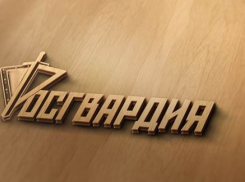 Росгвардейцы задержали камышанина, замешанного в поножовщине