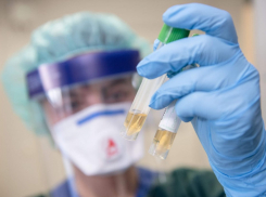 48-летняя уборщица магазина с подозрением на коронавирус умерла в Жирновском районе Волгоградской области