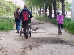 В стационары из нормальной жизни перекочевали еще трое камышан с подтвержденным диагнозом коронавируса 