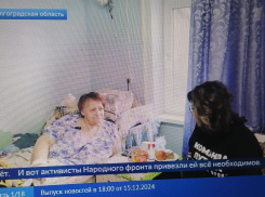 Волгоградская область в контексте обращений простых россиян на «прямую линию» к Путину «прославилась» досрочно (ВИДЕО)