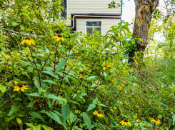 Свет и воду в нескольких домах отключат камышинские коммунальщики 24 сентября