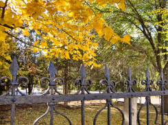 Из-за штормового ветра  объявлен «желтый» уровень опасности в Волгоградской области