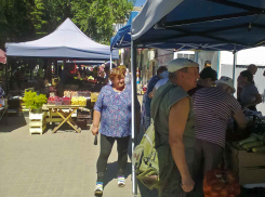 Волгоградстат объявил ТОП-5 наиболее подорожавших продуктов за неделю