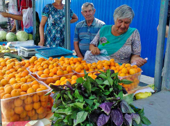 В Волгоградской Облдуме решили продлить жизнь сельхозрынков под открытым небом в нашем регионе