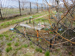 «Ну, как у нас в Камышине следят за кладбищем? - сердце на части рвется!»