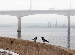 2 декабря жители многоэтажек в 7 микрорайоне останутся без света, а на проезде Феоктистова  - без воды