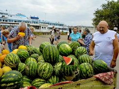В Камышине, претендовавшем на статус российской арбузной столицы, международный День арбуза не отмечают никак?