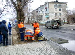 Какая работа вне офиса в Волгоградской области приносит высокий доход