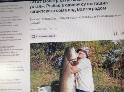 Волгоградский портал рассказал, как в Камышинском районе рыбак вытащил гигантского сома