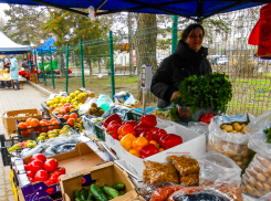 Камышанам рассказали, чем ребенка полезно кормить весной, чтобы он не утомлялся