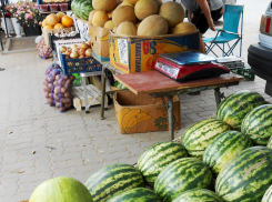 Специалисты Роспотребнадзора велят камышанам есть арбузы от пуза