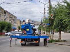 В Камышине в самую жару решили обрезать деревья с использованием «лестницы»-вышки