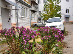 В Камышине температура воздуха немного опустится 3 ноября, но не существенно - все еще будет тепло