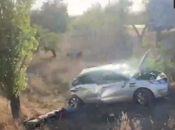 Труп женщины увезла «скорая» с места страшной аварии на трассе между Камышином и Волгоградом (ВИДЕО)