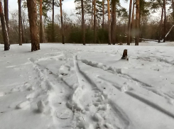 Снег с дождем и шквалистый ветер - неустойчивая погода ждет камышан 17 декабря
