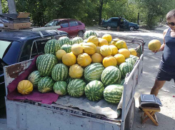 В Камышине арбузы подешевели до 35 рублей за килограмм