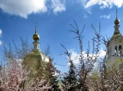 Редкую исцеляющую Тадулинскую икону везут в Волгоград: когда святыня прибудет в Камышин