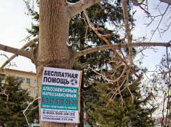 Надо силой полиции убирать притон алкоголиков на центральной улице, а не вывешивать для них объявления! - камышанка