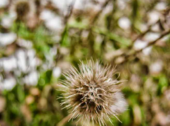 В Камышинском районе в селе Костарево следователи обнаружили два трупа