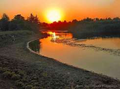 В Волгоградской области запретили жарить шашлыки на природе