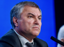 Спикер Госдумы Вячеслав Володин заявил, что в чиновники и на выборные должности необходимо брать только служивших в армии
