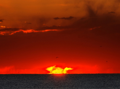 В Камышине завершено расследование по жуткому уголовном делу, главный фигурант которого убил мать ножницами