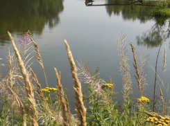 В Камышинском районе 22-летний парень утонул в пруду