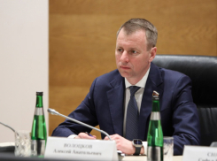 В какую думу теперь избирается пока что депутат камышан в Нижней палате российского парламента Алексей Волоцков