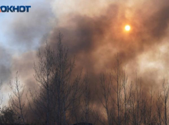 Лесостепной пожар в Камышинском районе потушен, сообщили в ГУ МЧС