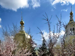 Станислав Зинченко раньше священников поздравил горожан с Вербным воскресеньем сегодня, 13 апреля