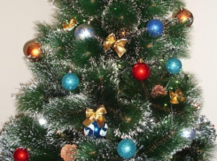 В Камышине на Комсомольской площади и на площадке у ДК «Текстильщик» к Новому году установят новые елки