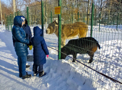 Экологи раскрыли радиационные параметры в Волгоградской области, в Камышине радиацию замеряли тоже