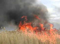 В Камышине в районе речного порта пожарным пришлось тушить вспыхнувшие заросли камыша