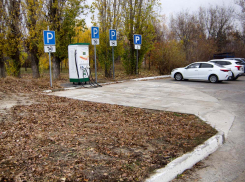 Автомобильное топливо подешевело для камышан, но на копейки