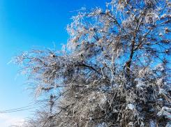 Какими задачами «нагрузил» Андрей Бочаров лично глав муниципалитетов в связи с морозами